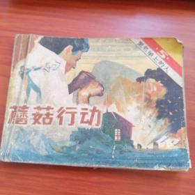 蘑菇行动 连环画