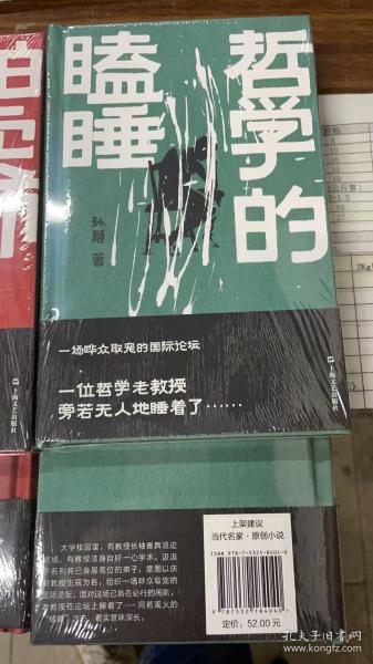 《哲学的瞌睡》（孙颙奇思小说系列 —太史公笔法书写奇人奇事：一场哗众取宠的国际论坛；一位哲学老教授旁若无人地睡着了……）