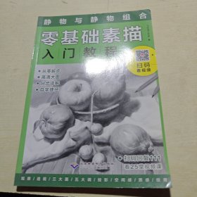 零基础素描入门教程：静物与静物组合