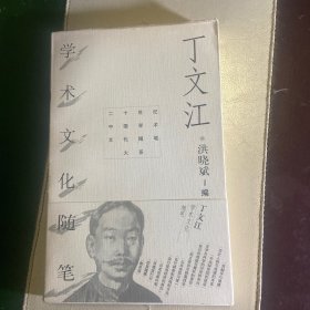 二十世纪中国学术文化随笔大系：丁文江学术文化随笔
