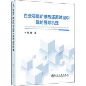 白云鄂博矿碳热还原过程中磷的脱除机理【正版新书】