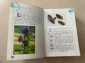 中草药彩色图谱