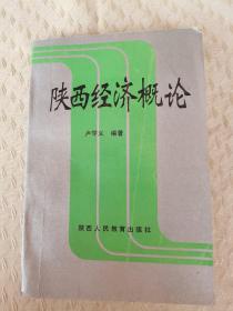 陜西經(jīng)濟(jì)概論