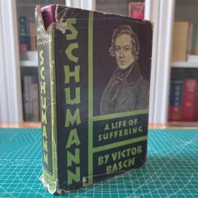 Schumann: a Life of Suffering 罗伯特·舒曼：苦难的生活 舒曼传记 19世纪德国作曲家 音乐评论家