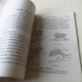 柞蚕（蚕桑专业用）；柞蚕疾病及其预防法；1958年桑、柞蚕大面积丰产经验【3本合售】