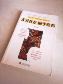 天才在左 疯子在右：国内第一本精神病人访谈手记