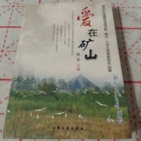 爱在矿山：淮北矿业集团首届诗歌散文小说大奖赛获奖作品集（一版一印）