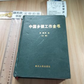 中国乡镇工作全书（上册）