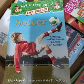 Magic Tree House Fact Tracker #29: Soccer 神奇树屋事实追踪 #29：足球