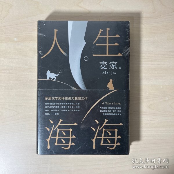 麦家：人生海海（茅盾文学奖得主麦家2019年强力之作）