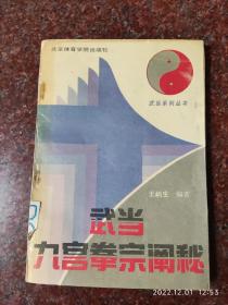 武当九宫拳宗阐秘 王柄生 武当内家拳 九宫掌、九宫十八腿 85品2  1991年1-4