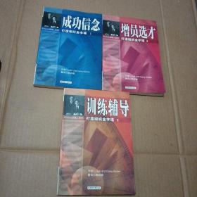 保险行销丛书 打造组织金字塔3册：成功信念 增员选才  训练辅导（3册合售）