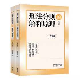 刑法分则的解释原理上下册