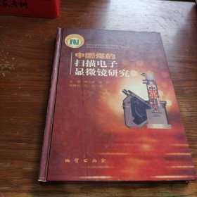 中国煤的扫描电子显微镜研究