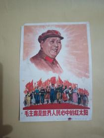 毛主席是全世界人民心中的红太阳(32开宣传画)