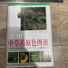 实用中草药原色图谱3（动物药）