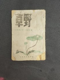 野草月刊:第四卷，第一，二期