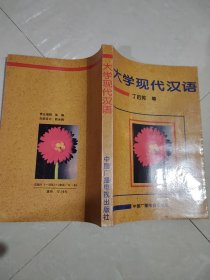 大学现代汉语