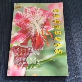 谚语名句钢笔字帖