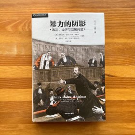 暴力的阴影：政治、经济与发展问题