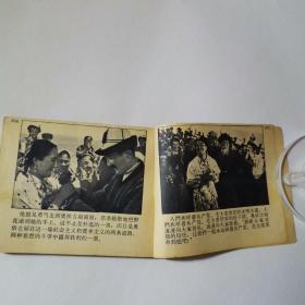 天山的红花连环画