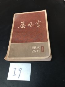 译文丛刊：暴风雪