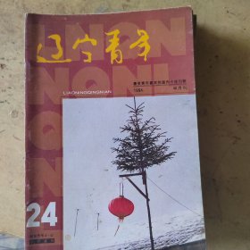 辽宁青年（1994年14本合卖）少22.18.16.14.10.8.7.6.3.1