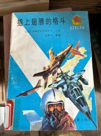 插上翅膀的格斗