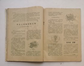 1986年巜家庭医生》第1期。广州中山医科大学主办，医学、妇幼、心理、生活、健美，内容详见拍照目录。