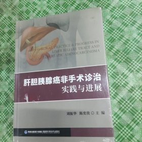 肝胆胰腺癌非手术诊治实践与进展