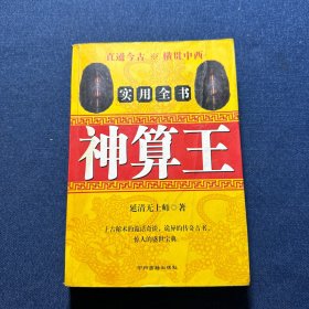 神算王
