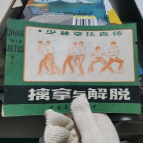 少林拳法真传 擒拿与解脱