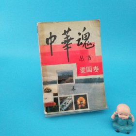 中華魂叢書 愛國卷