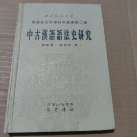 中古汉语语法史研究