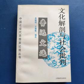 文化解剖与社会批判