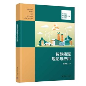 智慧能源理论与应用 大中专公共社科综合 陈晓红 新华正版