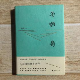 失物集（青年作家、先锋导演唐棣散文集，于坚、孙甘露名家推荐！）