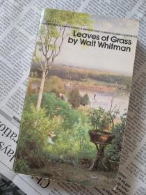 Leaves of Grass 草叶集