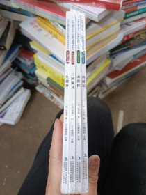 中国儿童文学四大名著注音畅读系列彩绘注音版(全4册)