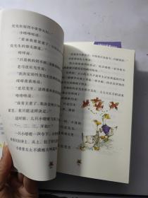 朱奎经典童话 约克先生系列（全5册）