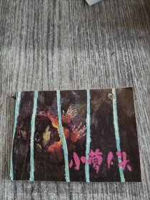 小萝卜头连环画