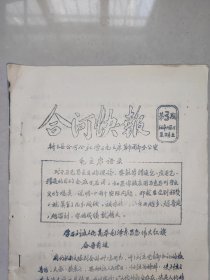 合河快报（3）有水南、东水东、合河、田小郭、西元封大队学刘庄赶刘庄的内容