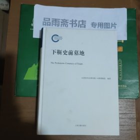 下靳史前墓地.