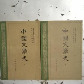 中国文学史（1、3）