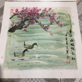 纯手绘国画作品：春江水暖鸭先知 尺寸：50*50cm