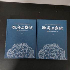 渤海上京城 1998~2007年度考古发掘调查报告（上下册 全二册）2本合售