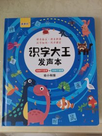 幼小衔接 识字大王发声书（1200个汉字＋1200个组词）可以正常发声，可充电