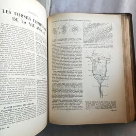 LA VIE CARACTERES MAINTIEN TRANSMISSION   ENCYCLOPEDIE FRANCAISE  法语生活百科全书  外文古旧书 民国老外文书  1937年  12开