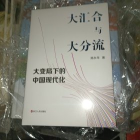 大汇合与大分流：大变局下的中国现代化