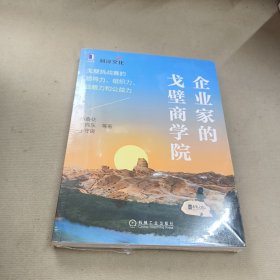 企业家的戈壁商学院：戈壁挑战赛的领导力、组织力、战略力和公益力